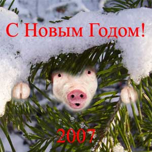С Новым Годом! 2007 - год свиньи.