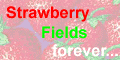 Strawberry Fields forever. Cosmetic and Fragrance.