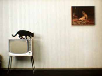 Черный кот на телевизоре у стены.