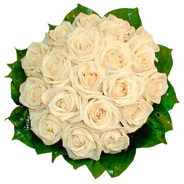 Белые розы, белые розы...